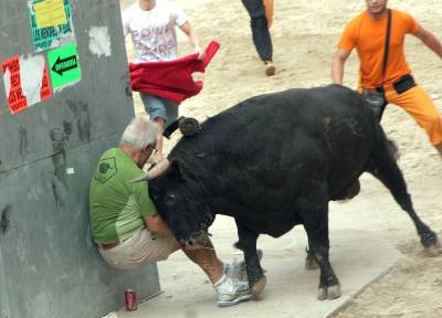 Un ganadero de La Vall se llevó un buen susto