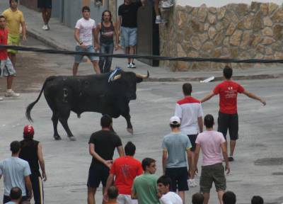Arrancan las fiestas de San Teodoro con la suelta de un Alcurrucén.