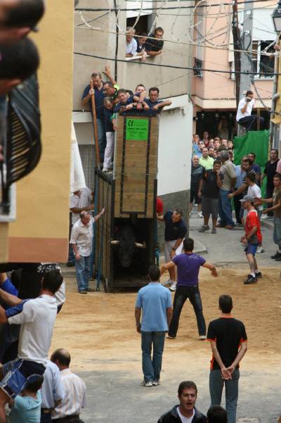 Las Fiestas en honor a la Mare de Deu del Roser exhibe tres astados para los mayores y un encierro para los más pequeños.