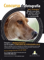 Fotografia /Gallery/30332_16933/1_M1.jpg