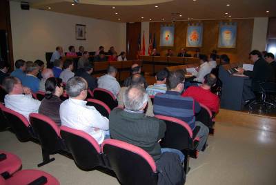 Las fallas verán disminuida la subvención que perciben del Ayuntamiento en 2011