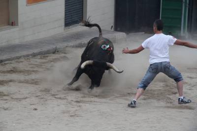 Texas, de fiesta por Sant Antoni de Pàdua