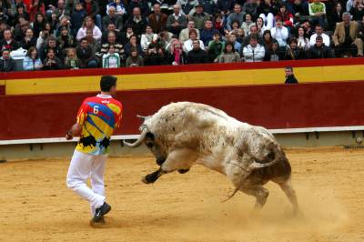 Pedro Imaz gana el Concurso Nacional de Recortes Magdalena 2008.
