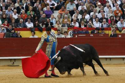 Los toros no acompañaron a los toreros
