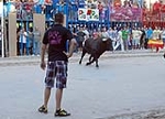 Un toro se accidenta y tiene que ser sustituido al romperse una pata