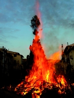 Fotografia /Gallery/47826_25477/3_M1.jpg