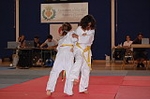 Alta participacióin en el Trofeo de Judo Sant Pasqual 2011