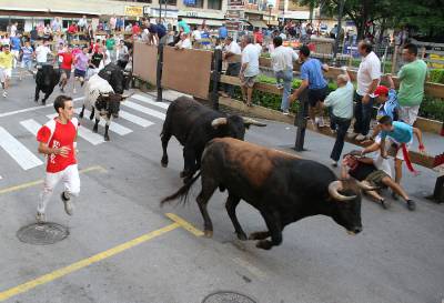 El segundo encierro de Les Penyes en Festes de La Vall, rápido y sin incidentes