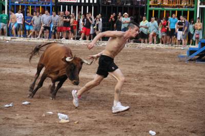 Jaume Doménech logra 94 puntos en el primer día del concurso de ganadería de Les Penyes en Festes