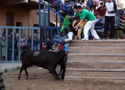 Las vacas del lunes se saldan con un traslado al Hospital La Plana y el Bou de Foc sin incidentes