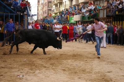 Los toros cerriles concentran a multitud de aficionados