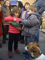 Fotografia /Gallery/60447_32108/2_M1.jpg