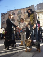 Fotografia /Gallery/60447_32108/6_M1.jpg