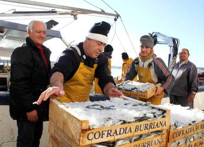 La pesca de cerco inicia la nueva temporada
