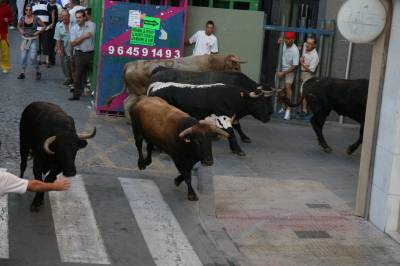 Un encierro de lo menos 'pamplonica'