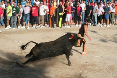 La peña L'Alternativa celebró su día grande.