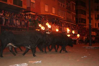 Espectacular encierro de toros embolados.
