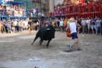 Amics del bou patrocinó el toro de la tarde