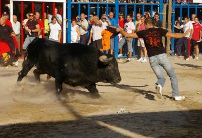 La peña Un altre Bou inicia la jornada taurina.