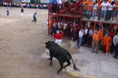 El Miura que hizo el ridículo