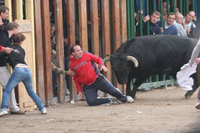 Lo coge un toro y fotografía al siguiente