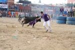 Los toros de Partido de Resina y Gerardo Ortegan ponen el punto final a las fiestas taurinas