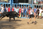 Burriana retoma las exhibiciones taurinas con dos toros grandes toros de 6 años 