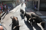 El segundo encierro de toros cerriles de Burriana se desarrolla sin incidentes