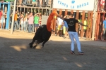 Les Alqueries disfruta con el 'bou en corda'