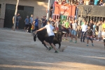 Les Alqueries disfruta con el 'bou en corda'
