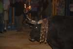 Betxí inicia les exhibicions taurines amb ple de gent i un esglai