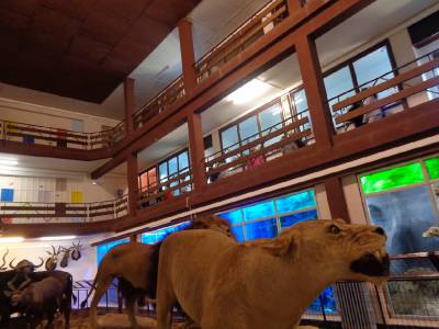 El Museo de Ciencias Naturales el Carmen recibe su reconocimiento oficial como museo