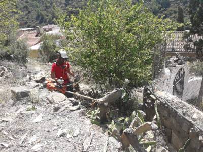 L’Ajuntament d’Alfondeguilla lluita contra el mosquit de la palera
