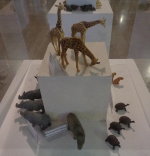 Fotografia /Galeria/2018/8/175770_104420/2_M1.jpg