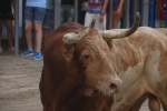 Nuevo herido por asta de toro en las fiestas de la Misericordia de Burriana