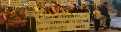 Moncofa ix al carrer en defensa de la citricultura
