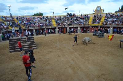 El toro cerril protagoniza la recta final de las fiestas patronales de Oropesa del Mar