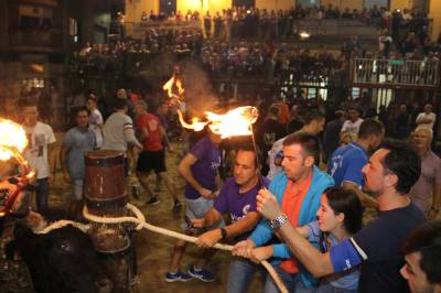 Nules tanca les exhibicions taurines amb un bou embolat