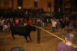 Nules tanca les exhibicions taurines amb un bou embolat