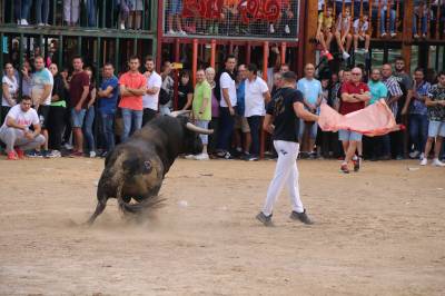 Les Alqueries possa el punt i final a les exhibicions taurines de les festes patronals
