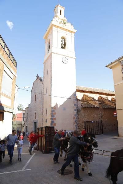 La Llosa celebra el Día de la Colla del Bou de Pascua