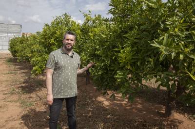 El grup d?investigació en Ecofisiologia i Biotecnologia de l?UJI adverteix que l?escalfament global reduirà la productivitat dels fruiters tradicionals i icònics de la conca mediterrànias