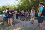 Medi Ambient programa una nova jornada de voluntariat ambiental amb la recuperació de tortugues com a objectiu