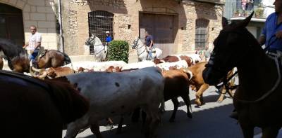 La Entrada Campera da el pistoletazo de salida a los actos taurinos de las fiestas de les Coves de Vinromà