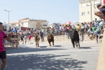 Vall d?Alba se convierte en la capital taurina de la provincia con su ya tradicional encierro de 6 toros cerriles