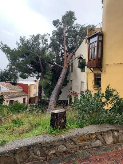 La lluvia y el viento provoca caídas de árboles, de postes y el desprendimiento de las chapas del tejado de una nave