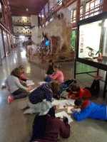 Fotografia /Galeria/2020/1/192564_118682/3_M1.jpg