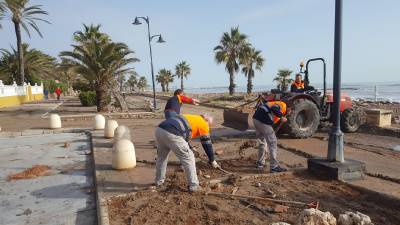 Xilxes treballa en l'adequació del passeig marítim després dels efectes del temporal