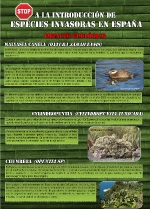 Fotografia /Galeria/2020/2/193734_119714/1_M1.jpg