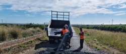 El Ayuntamiento de Torreblanca intensifica los trabajos de limpieza en los caminos del trmino municipal